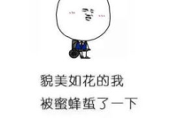 沙雕对话段子一问一答,欢乐问答，笑料横生