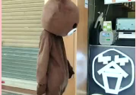 网红街头熊,萌态可掬的街头明星