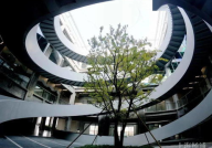 滨江边网红,滨江边网红打卡新地标