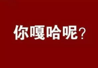 说话的技术打一汉字,说话的艺术