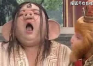 四张嘴,探索多元视角下的创意火花与沟通艺术”