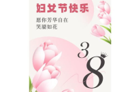 三八贺词句子精选,致敬女性之美与力量”