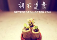 辞开头的成语,展望未来