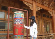 三七大但人文艺术免费1,探索三七大但人文艺术的免费之旅