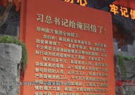 网红薛书,网红背后的故事与影响力解析